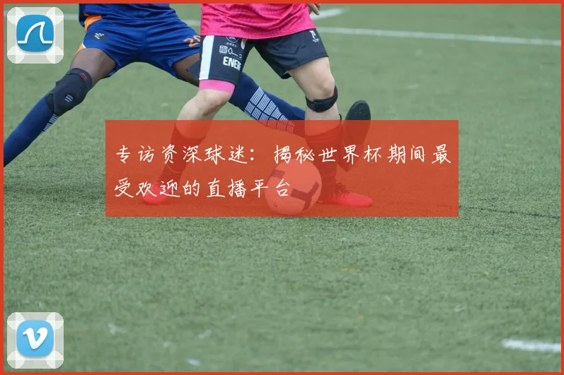 专访资深球迷：揭秘世界杯期间最受欢迎的直播平台