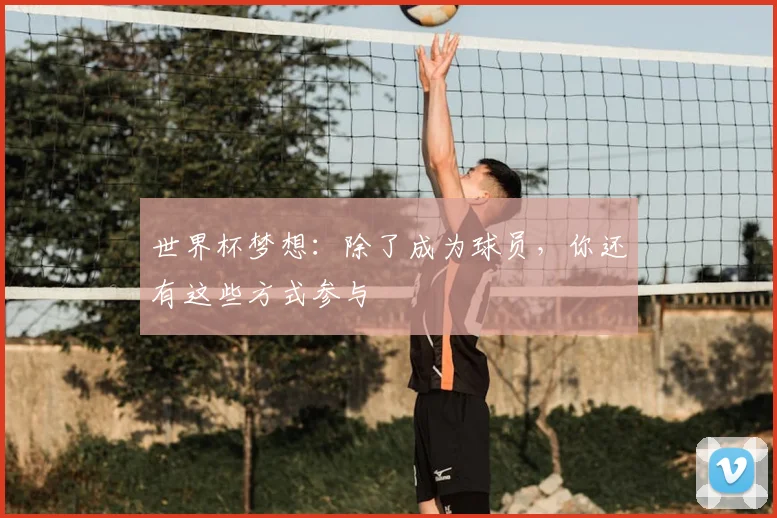 世界杯梦想：除了成为球员，你还有这些方式参与