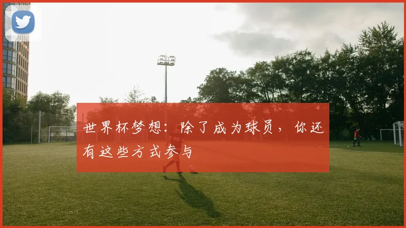 世界杯梦想：除了成为球员，你还有这些方式参与