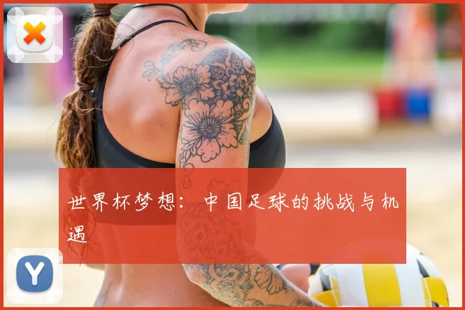世界杯梦想：中国足球的挑战与机遇