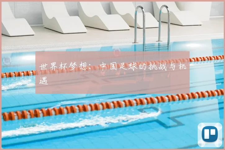 世界杯梦想：中国足球的挑战与机遇