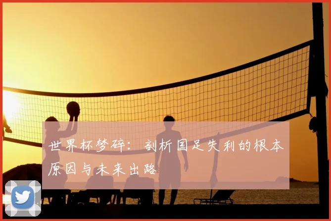 世界杯梦碎：剖析国足失利的根本原因与未来出路